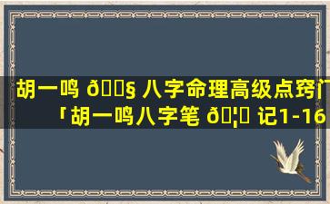 胡一鸣 🐧 八字命理高级点窍门「胡一鸣八字笔 🦋 记1-16集视频」